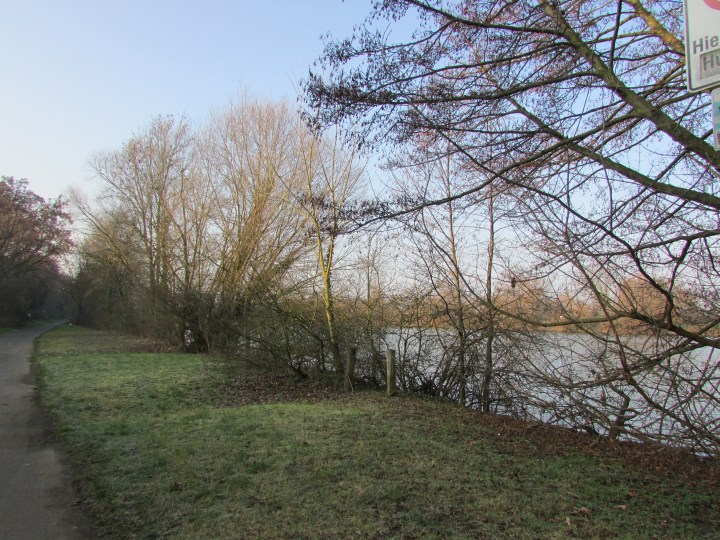 Part of my daily duties is to walk with the baby in the mornings. I never turn down a walk along the river