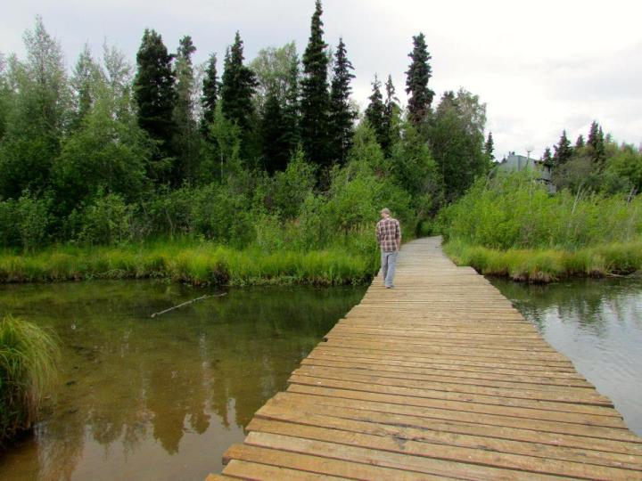 10624761_10202328513124737_1005655488477845833_n