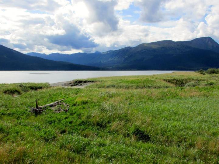 15213_10202328887374093_1936067676554465658_n