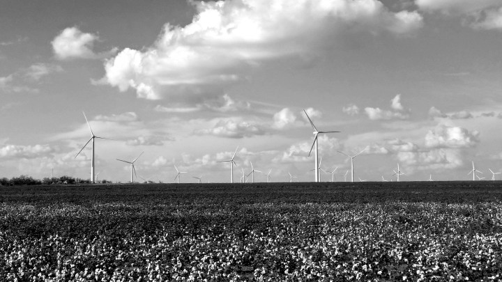 Cotton fields and wind turbines- West Texas