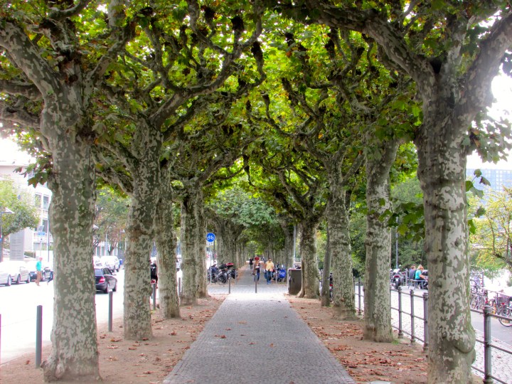 Frankfurt, Germany- September 2014