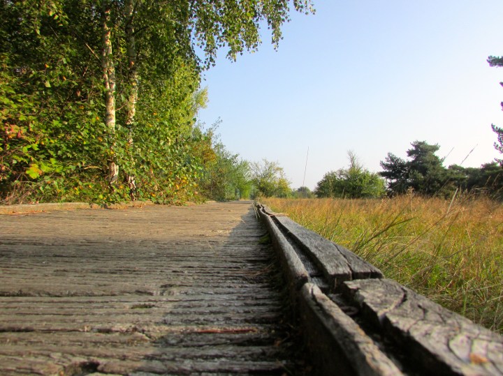 Niederrad, Germany- October 2014