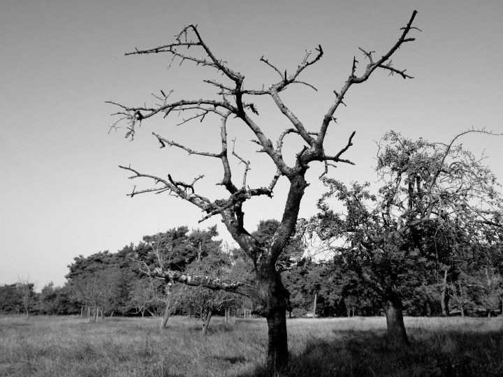 Niederrad, Germany- October 2014
