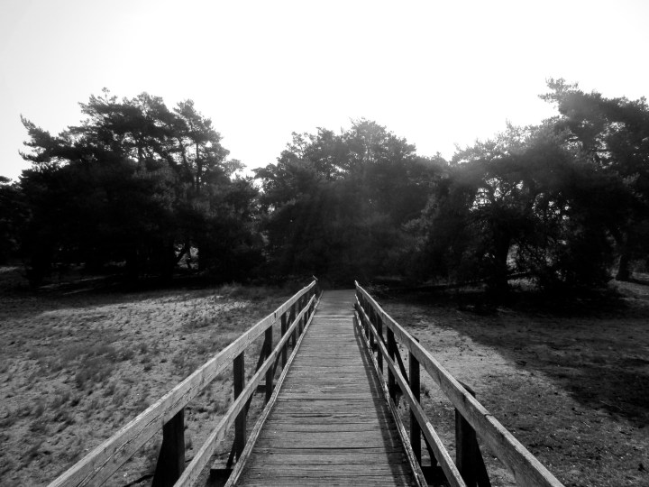 Niederrad, Germany- October 2014