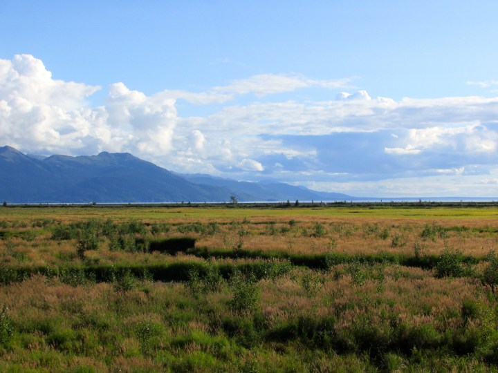 Potter's Marsh, Anchorage, AK - August 2014
