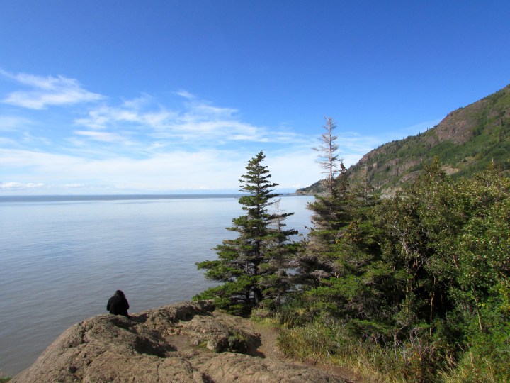 Beluga Point, Alaska - August 2014