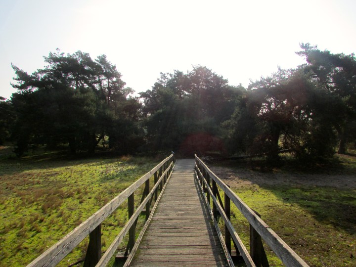 Niederrad, Germany- October 2014