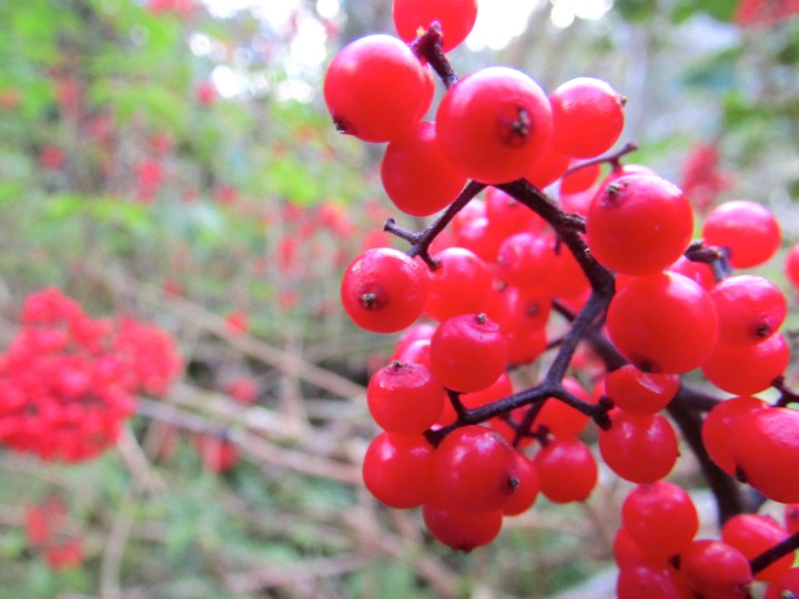 Alaska - August 2014