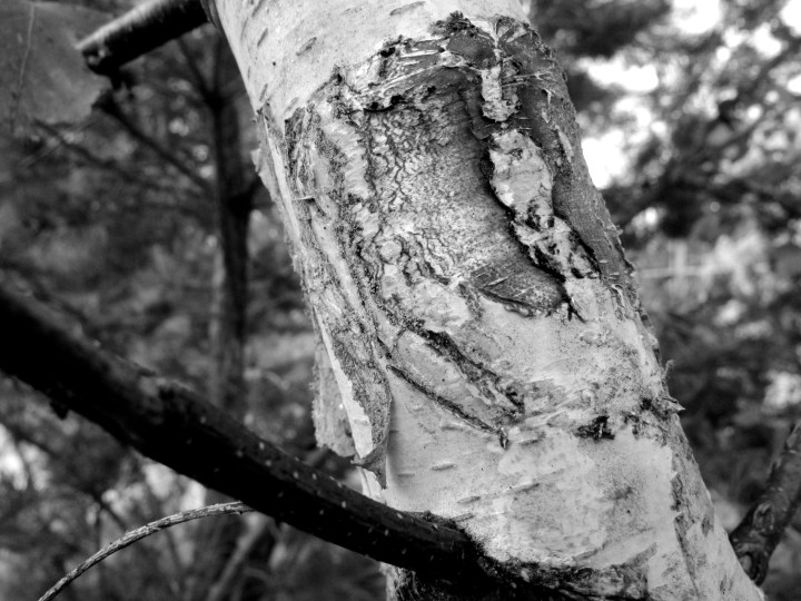 Niederrad, Germany- October 2014