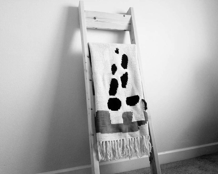 17498688_10208260218493664_4124225085238353815_n